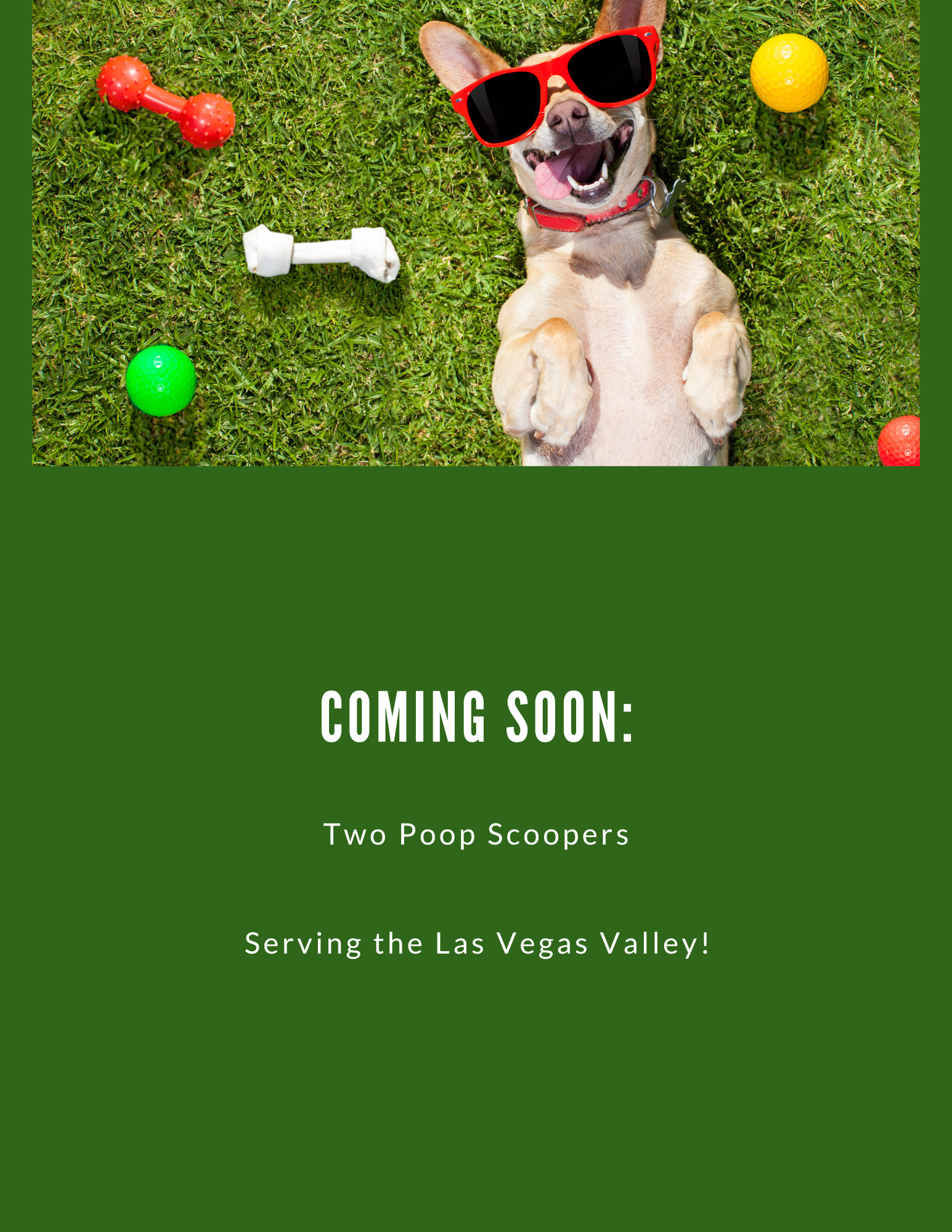 Two poop scoopers are coming soon to the Las Vegas Valley serving you and your pets.